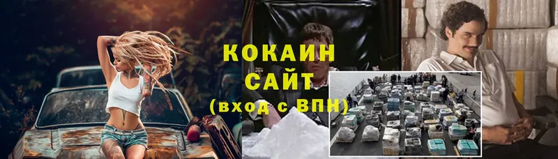 Cocaine Fish Scale  ссылка на мегу ссылки  Светлоград 