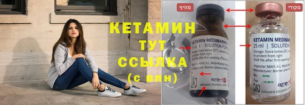 индика Новозыбков