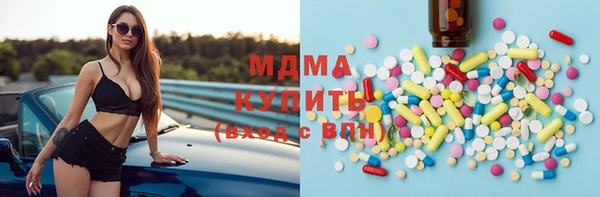 индика Новозыбков