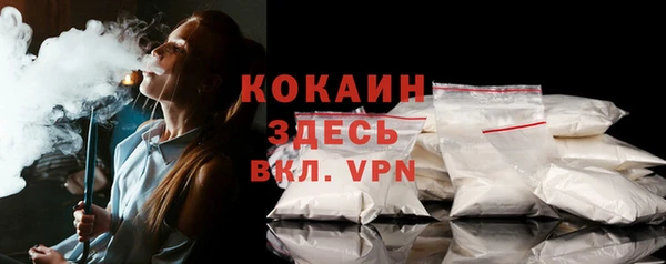 бошки Новодвинск