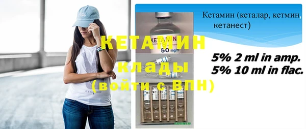 индика Новозыбков