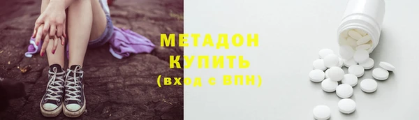 индика Новозыбков