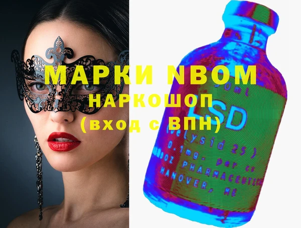 индика Новозыбков