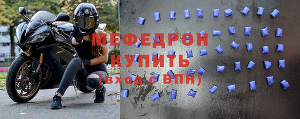 индика Новозыбков
