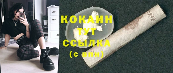 бошки Новодвинск
