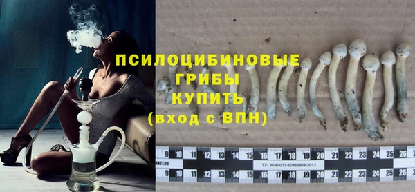 индика Новозыбков
