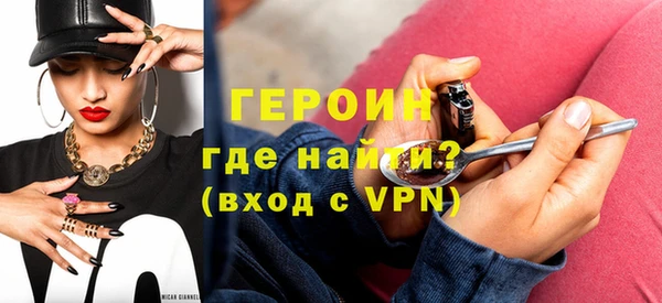 индика Новозыбков