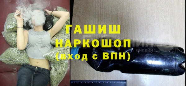индика Новозыбков
