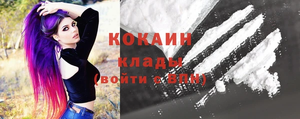 индика Новозыбков