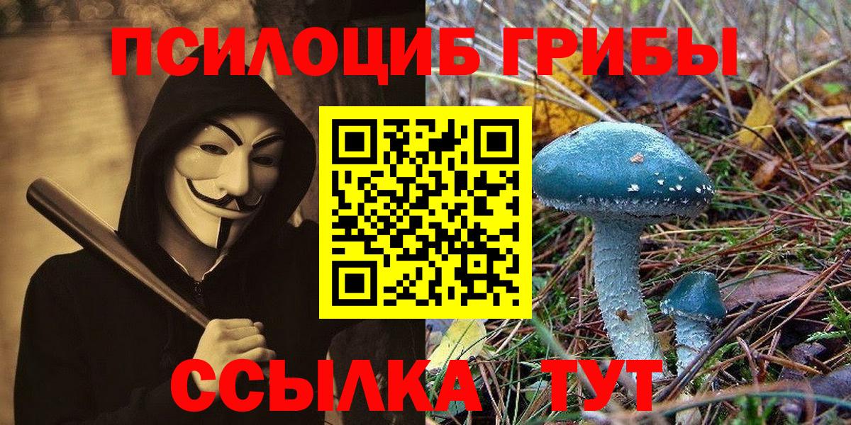 Псилоцибиновые грибы Magic Shrooms  Вход с VPN  Светлоград 