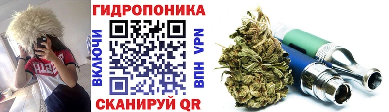Конопля гибрид Светлоград